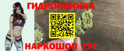 стаф Тула