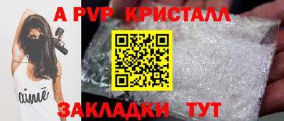 стаф Тула