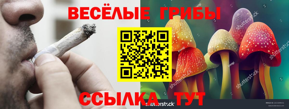 Галлюциногенные грибы Cubensis  Вход с VPN  Менделеевск 